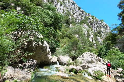 Split/Zadvarje: Cetina River Canyoning with Certified Guides Without transfer: meet us at our adventure center