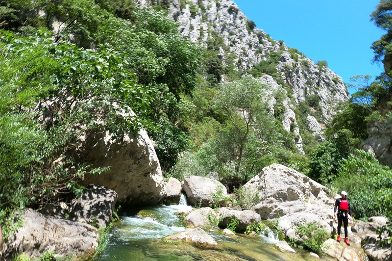 Split/Zadvarje: Cetina River Canyoning with Certified Guides Without transfer: meet us at our adventure center