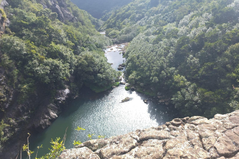 Henrietta: Senderismo en las Cascadas del Tamarindo