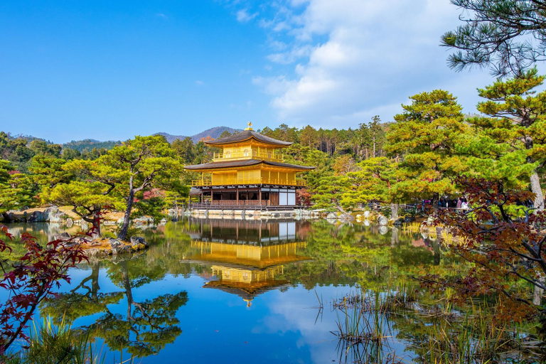Private tour from Kobe port to Kyoto: All inclusive