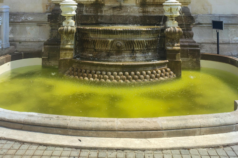 Istanbul: Palazzo e Museo di Yildiz: Salta il biglietto di ingresso prioritario