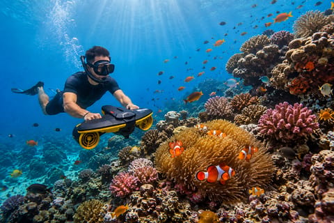 Nusa Penida: Sea Scooter Snorkeling Experience