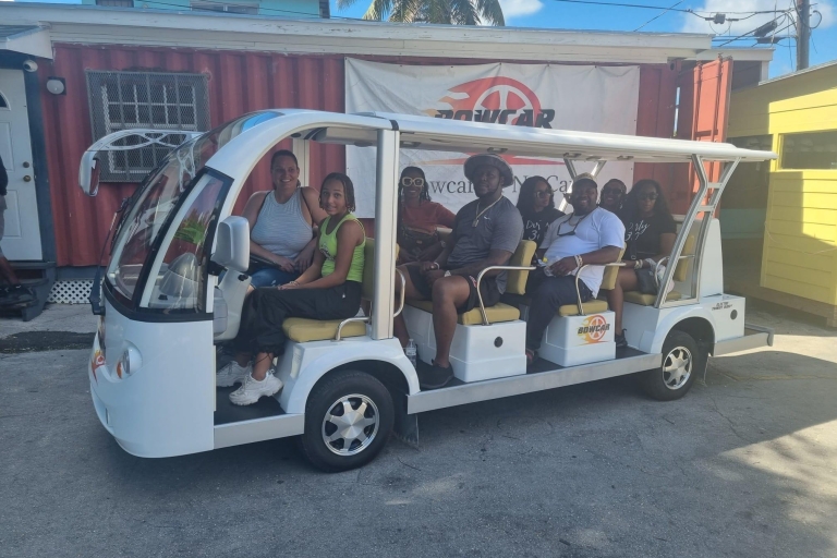 Elektrobus-Tour durch NassauElektrobus-Tour durch Nassau mit Kostproben und Getränken