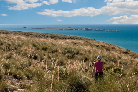 Santa Pola Histórico e Paisagístico e Flamenco com Espetáculo e Jantar
