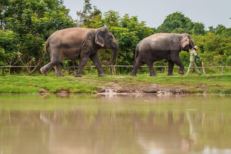 Excursión a la Selva de Elefantes de Kulen con recogida y regreso al hotel