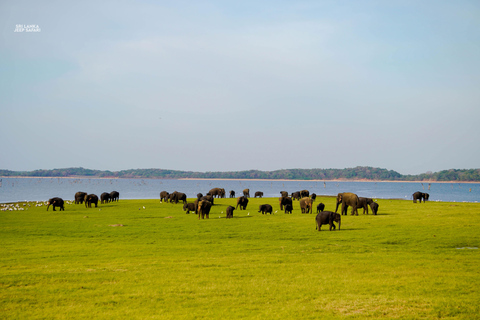 Kaudulla: Safari en elefante al atardecer con vistas impresionantes