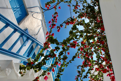 Mykonos: Walking Tour of Town Highlights and Hidden Gems