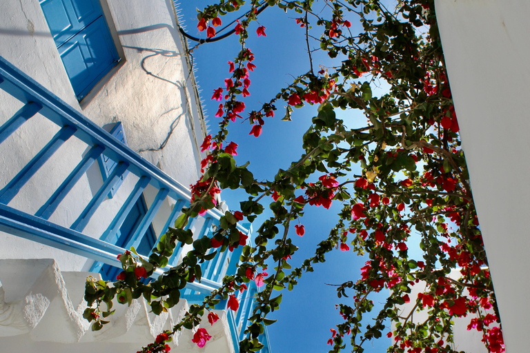 Mykonos: Walking Tour of Town Highlights and Hidden Gems