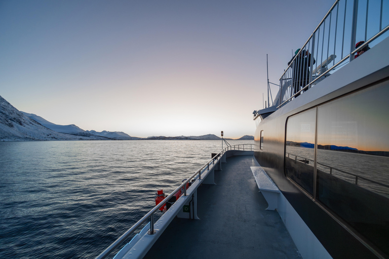 From Tromsø: Whale Watching Safari on High-Speed Catamaran
