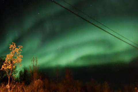 Tromsø: Northern Lights Tour with Photos & Snacks
