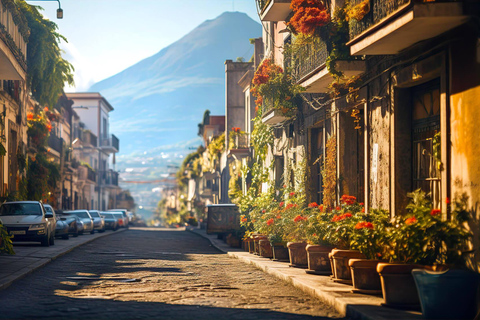 De Nápoles: Excursão de ônibus a Pompeia e Sorrento com guia