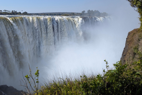 Victoria Falls: Historic Town Tour, Big Tree & Guided Walk