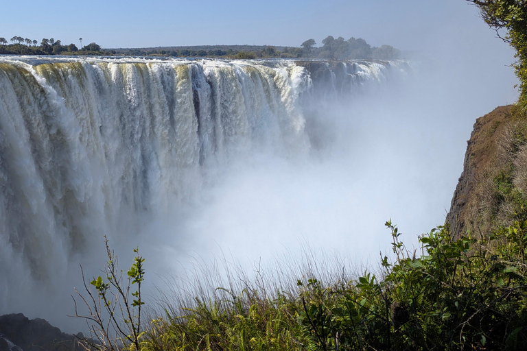 Victoria Falls: Historic Town Tour, Big Tree & Guided Walk