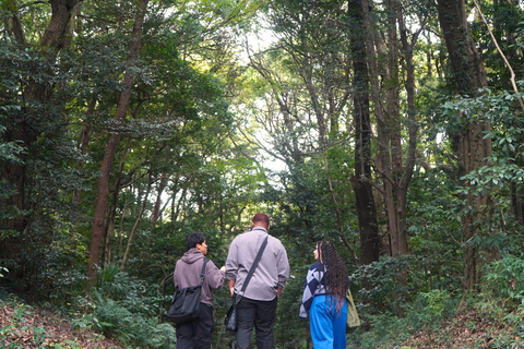 Speciale toegang Meiji Jinguu Tour met Engels sprekende gidsEenvoudig plan