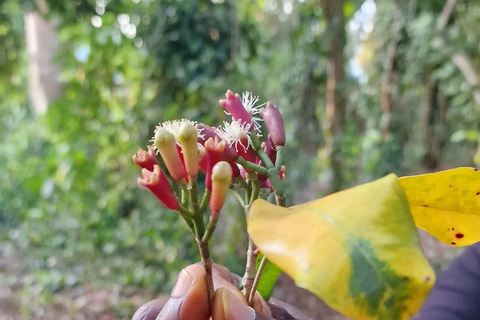 Zanzibar : Stone Town, visite des épices et de l'île prison avec déjeunerVisite privée