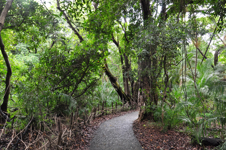 Tour guiado de las Cataratas