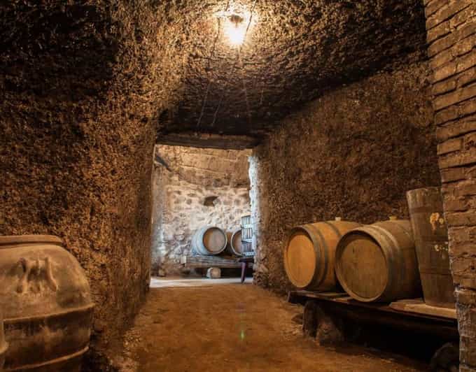 From Rome: Small Group Frascati Wine Tasting and Food Tour
