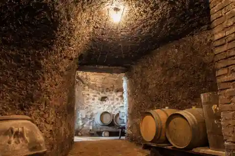 From Rome: Small Group Frascati Wine Tasting and Food Tour