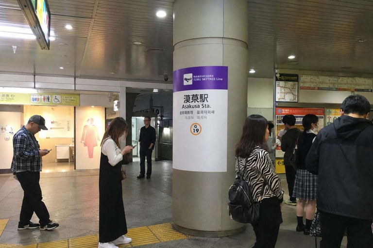 Tokyo: Asakusa Heritage Walk, Skytree & Sumida with Lunch