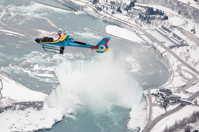 Vanuit Toronto: Winter Wonder van Niagara Falls Tour