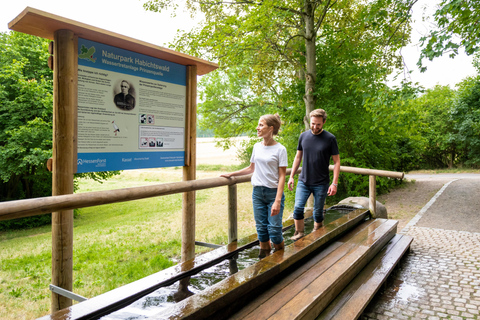 Kassel: Hercules Vital Tour - Guided Hike Through the Habichtswald Kassel: Hercules Vital Tour