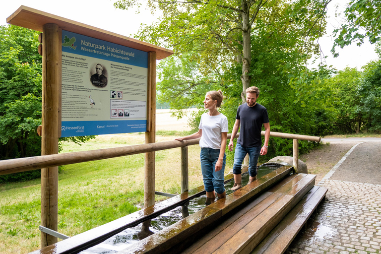 Kassel: Hercules Vital Tour - Guided Hike Through the Habichtswald Kassel: Hercules Vital Tour