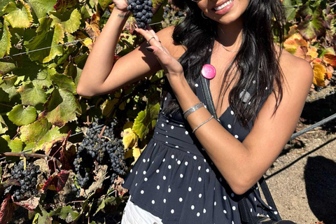 Wine Day Tour: Discover 3 wineries in Casablanca