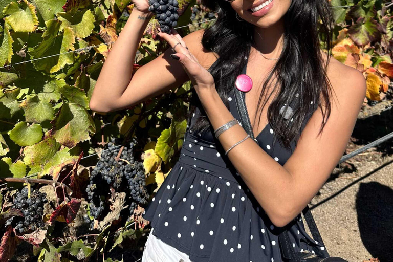 Wine Day Tour: Discover 3 wineries in Casablanca