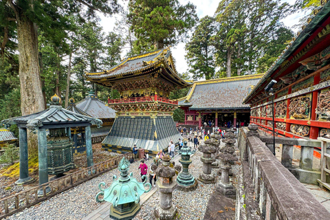 Excursion d&#039;une journée dans la ville de Nikko en voiture privée ou en van