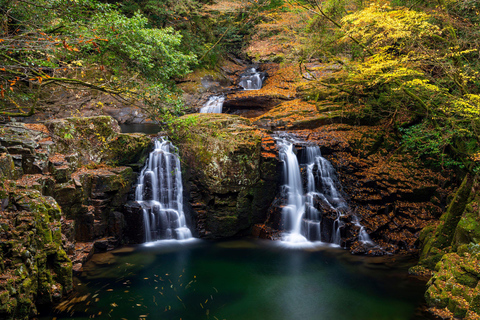 Osaka: Nara, Akame 48 Waterfalls & Tanzan Shrine Tour Shared Tour, Meet at Tsurutontan Soemoncho
