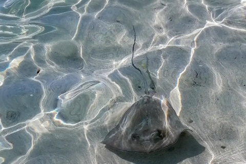 EXCURSIE*** (GRAND-CUL-DE-SAC-MARIN voeten in het water)