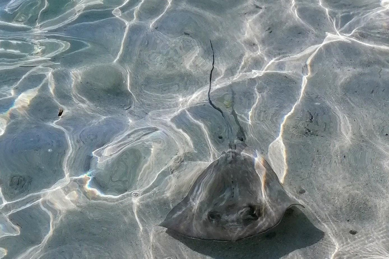 EXCURSIE*** (GRAND-CUL-DE-SAC-MARIN voeten in het water)