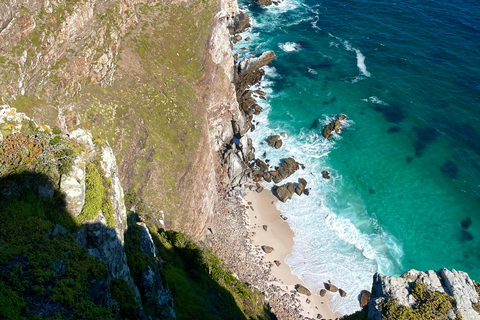 Cape Town: Private Tour with Customizable Itinerary