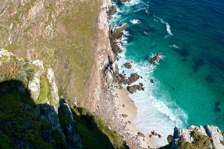 Cape Town: Private Tour with Customizable Itinerary