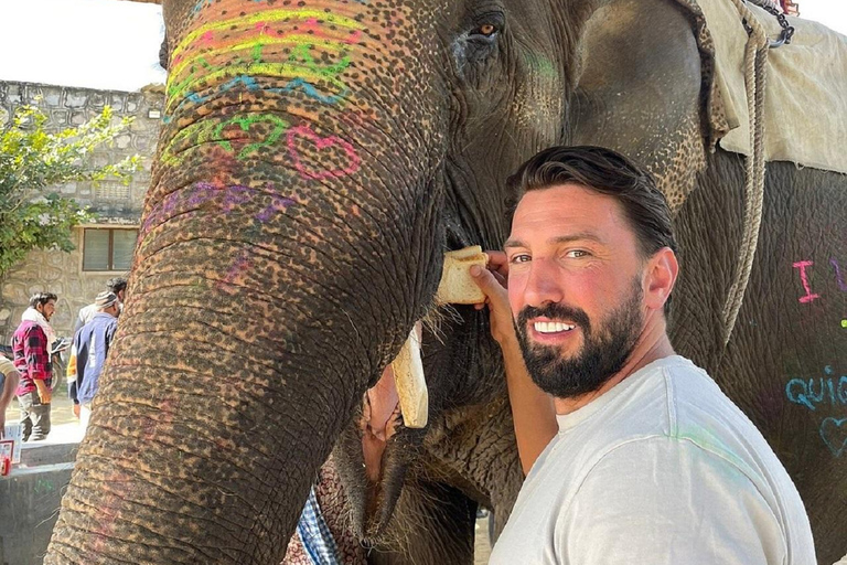 Jaipur: Hathigao Elephant Village Ride, Feeding, & Photos Riding, Feeding, Climbing And Photography with Elephant