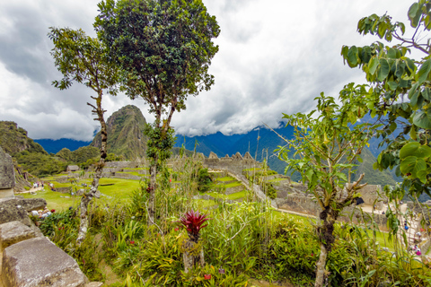 Machu Picchu: Circuit 2A (Classic Route) + Bus & Local Guide Last-Minute: Circuit 3B with Guide Included