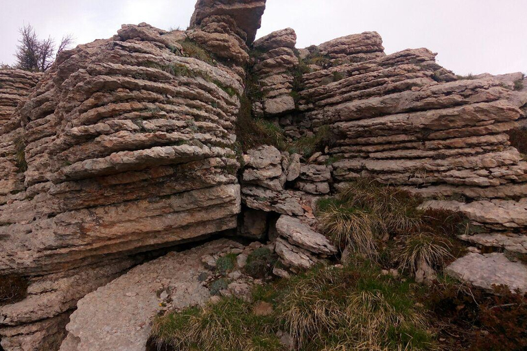 VENETIË: ONTDEK WILDE DIEREN IN DE DOLOMIETEN