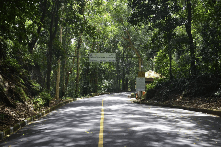 Rio de Janeiro: Tijuca National Park & Botanic Garden Tour