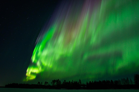 Rovaniemi: Aurora Hunt with 95% Success Rate, 4 people group Rovaniemi: Aurora Hunt with 95% Success Rate, PRIVATE