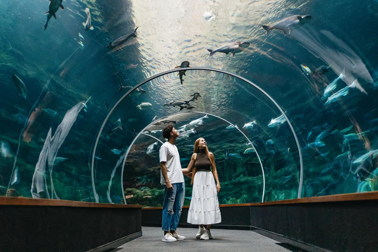 From the south: entry and round-trip transfer to Poema del Mar From the South: Admission Ticket and Round-Trip Transfer to Poema del Mar