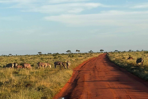 3-Day Safari in Tsavo East, Ngutuni, & Salt Lick – Big Five & Sunset Views 3-Day Safari in Tsavo East, Ngutuni & Salt Lick – Big Five & Sunset Views