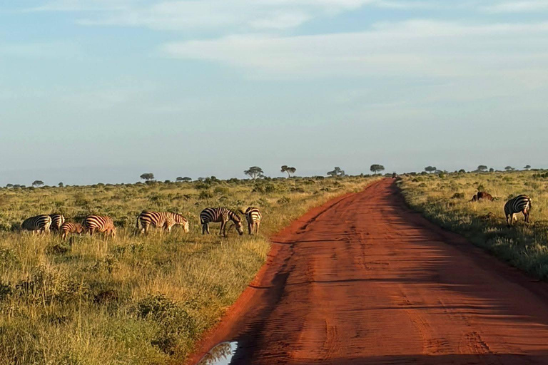 3-Day Safari in Tsavo East, Ngutuni, & Salt Lick – Big Five & Sunset Views 3-Day Safari in Tsavo East, Ngutuni & Salt Lick – Big Five & Sunset Views
