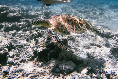 Est de Bali : Blue Lagoon Snorkeling - Tout comprisPlongée en apnée et rafting