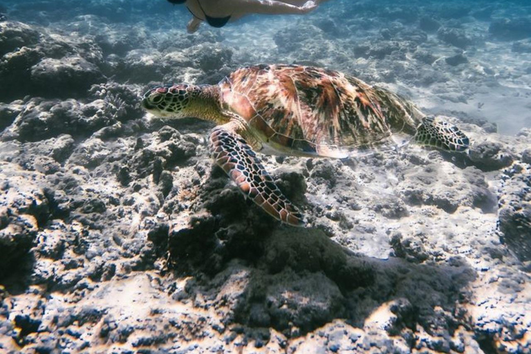 Est de Bali : Blue Lagoon Snorkeling - Tout comprisPlongée en apnée et rafting