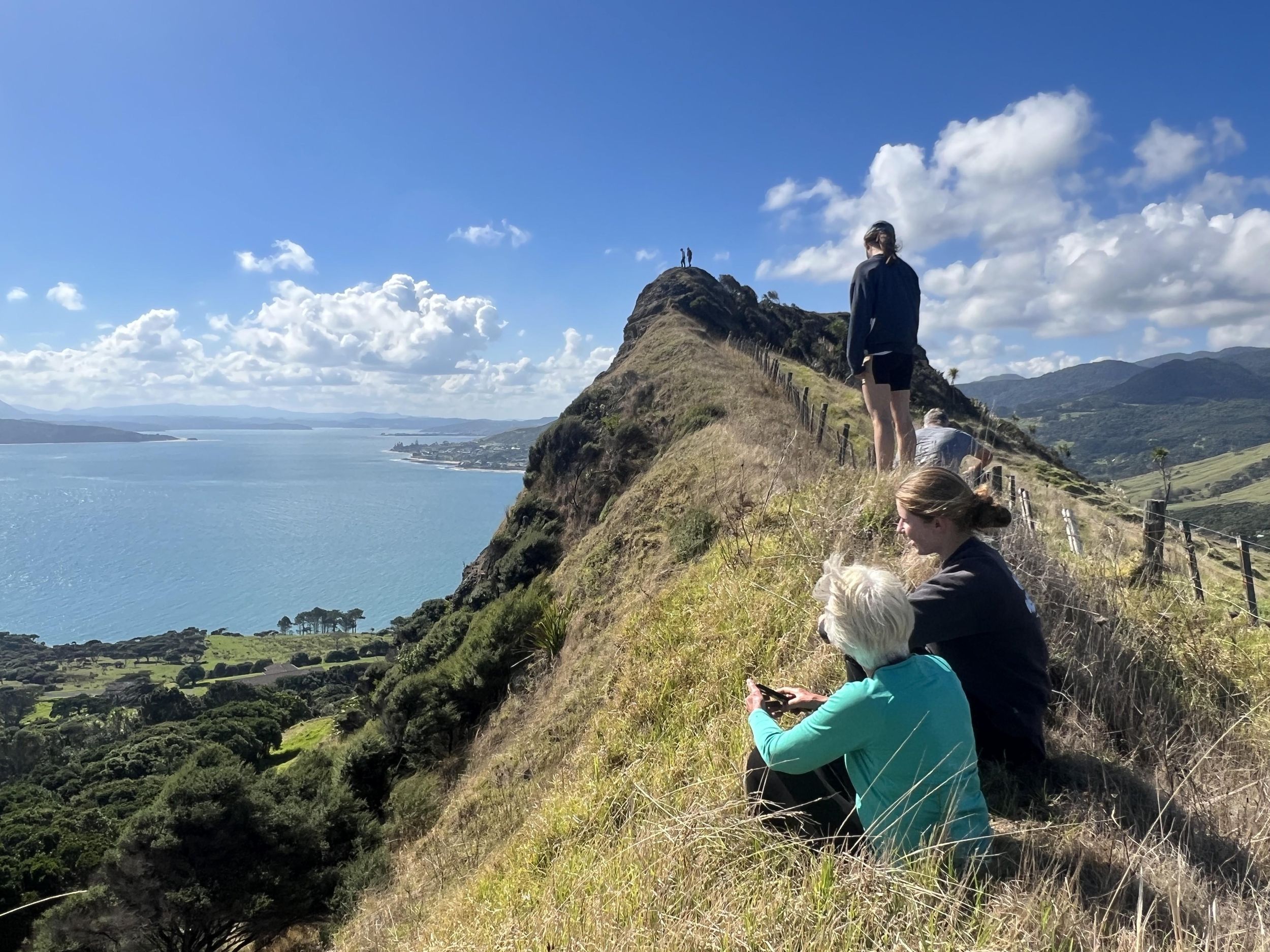 Hokianga: Private Entdeckungstour mit Fährfahrt