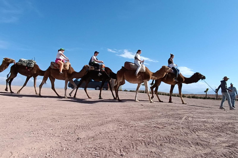 Marrakech: Giro nel deserto di Agafay in quad e cammello con cena spettacolo