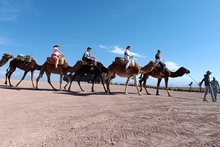 Marrakech: Giro nel deserto di Agafay in quad e cammello con cena spettacolo