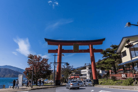 Tokyo: Tour privato di un giorno di Nikko, Patrimonio dell&#039;Umanità dell&#039;Unesco, e prelievo di campioni