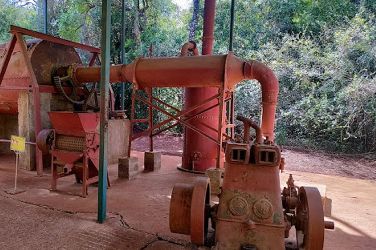 Dagstur till Elefantbarnhemmet och Karen Blixen Museum