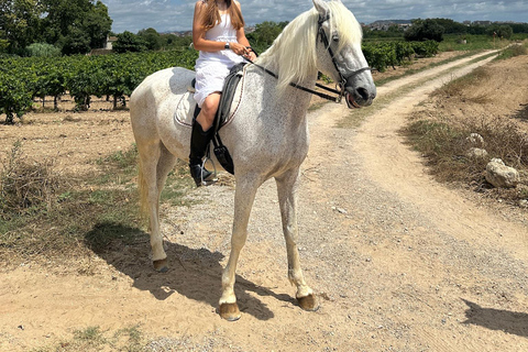 Alicante: Private Horseback Ride & Picnic with Transfer